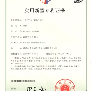 一种空气动力玩具气垫船