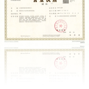Business License of Shandong Chisheng