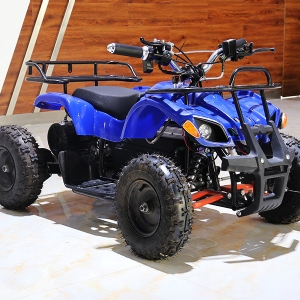 Snow motorcycle kart