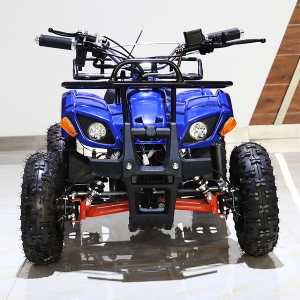 Snow motorcycle kart