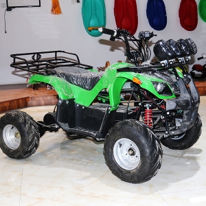 Snow motorcycle kart