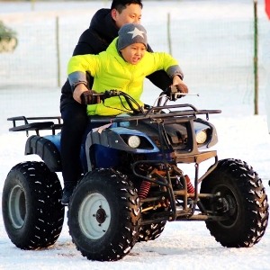 Snow motorcycle kart