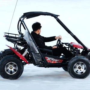 Snow motorcycle kart
