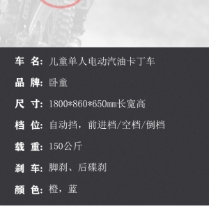 Snow motorcycle kart