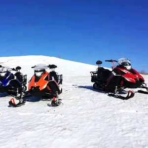 Snow mobile