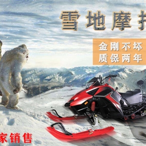 Snow mobile