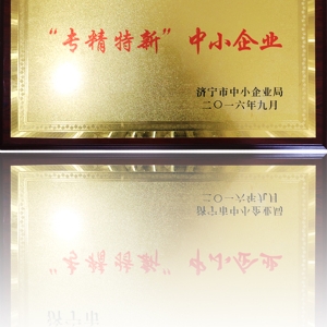 "Specialized Tesla" small and medium-sized enterprises