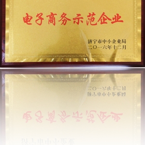 电子商务示范企业