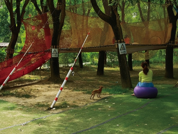 Jungle Magic Network, Wuxi City, Jiangsu Province