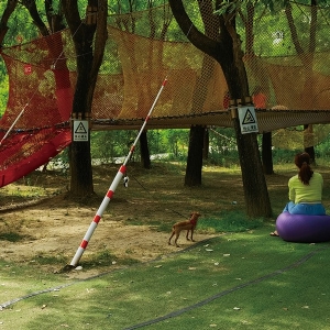 Jungle Magic Network, Wuxi City, Jiangsu Province