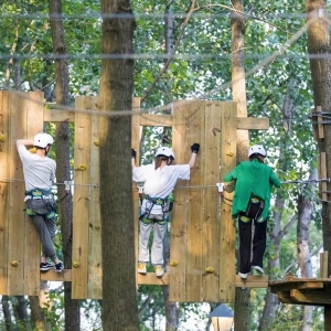 Jungle Crossing in Guizhou
