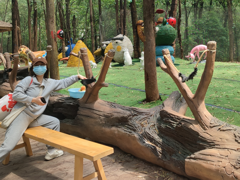 微信图片_202601191115541