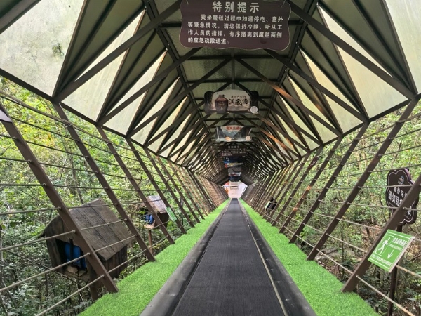 "Mountain Climbing Magic Carpet"