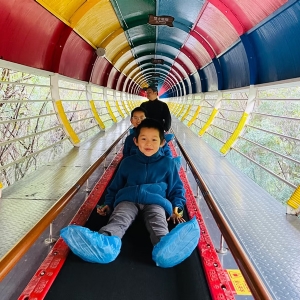 Magic carpet in Scenic Area