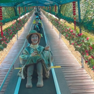Magic carpet in Scenic Area