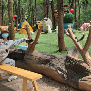 Online celebrity spot