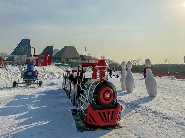 山东聊城市冰雪乐园