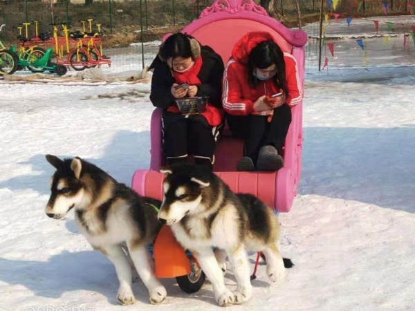 河北衡水市戏雪乐园